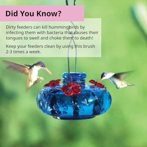 Hummingbird Feeder Cleaning Brush - Dual Purpose-Head - 14" x 1.7" - Long Bottle & Tube Cleaner, Dishwasher-Safe Bristles, Removes Nectar Residue from Nozzle & Narrow Feed Socket by FryOilSaver Co