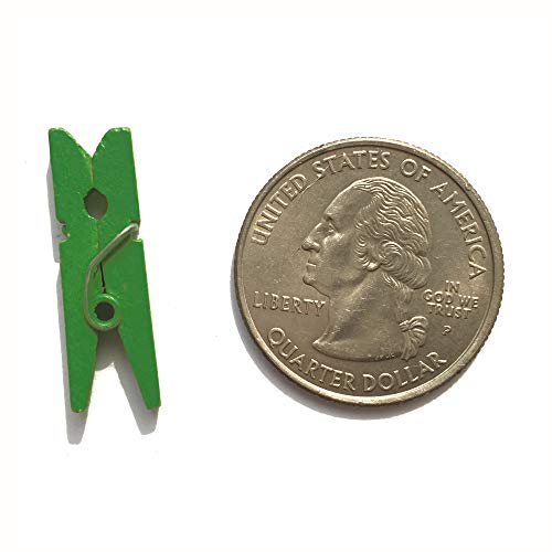 LWR CRAFTS Wooden Mini Clothespins 200 Per Pack 1" 2.5cm (Classic Green) - color: Classic Green