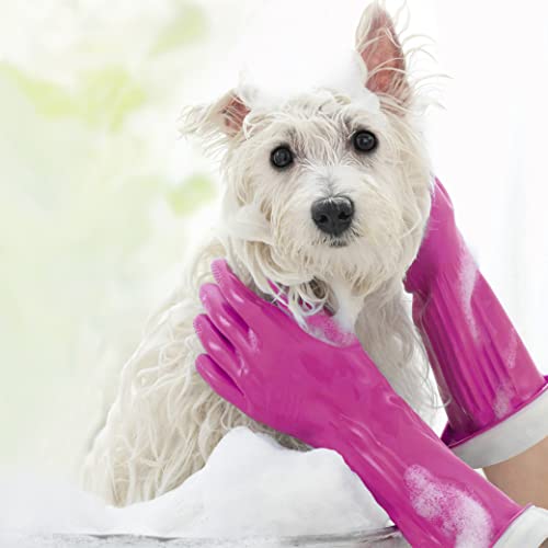 Playtex Living Reuseable Rubber Cleaning Gloves (Large, 2 Pairs), Premium Protection Reusable Household Gloves - size: Large (Pack of 2)