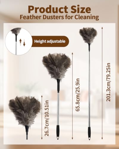Ostrich Feather Duster, 18-48 Inch Extendable Feather Duster with Natural Fluffy Ostrich Feathers, Dusters for Cleaning Ceiling Fans, Blinds, High Ceilings, Furniture, Cars, Washable & Reusable - color: Ostrich Feather Color