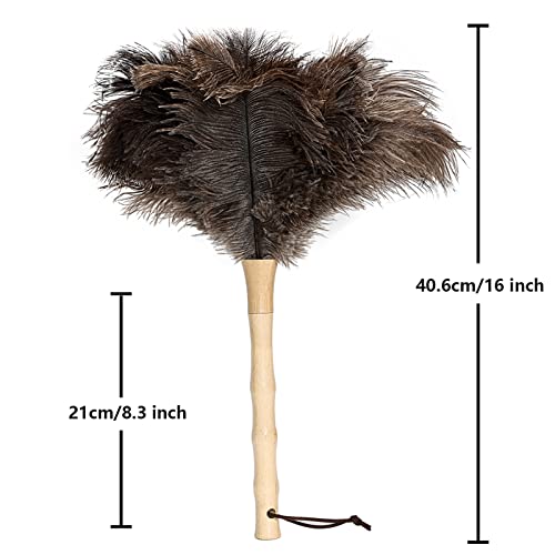 Ostrich Feather Duster 16 inch Feather Duster Fluffy Natural Genuine Ostrich Feathers with Wooden Handle and Eco-Friendly Reusable Handheld Ostrich Feather Duster for Cleaning Supplies - color: Model-a-brown-1 Piece