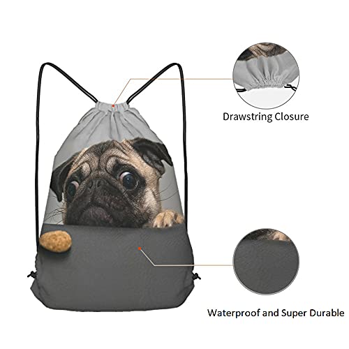 Art Cute Pet Drawstring Bags Backpack Bag Dog Lovely Animal Little Puppy Art Funny Pug Face Eyes Fashion Design Cookie Sport Gym Sack Drawstring Bag String Bag Yoga Bag for Men Women - color: Multi-a158