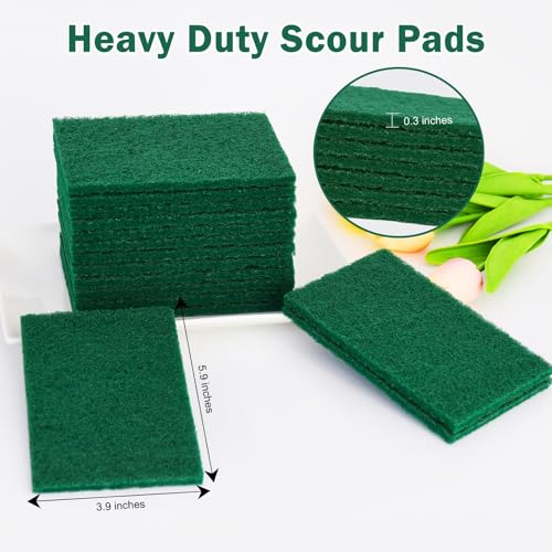 YoleShy 40 Pack Heavy Duty Scouring Pads Green Scrubbing Pads Scrub Pads - color: 40 Pcs