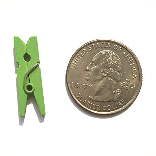LWR CRAFTS Wooden Mini Clothespins 200 Per Pack 1" 2.5cm (Lime Green) - color: Lime Green