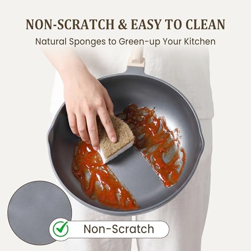 14 Pack Kitchen Sponges, Natural Dish Sponges for Kitchen, Non Scratch Pads