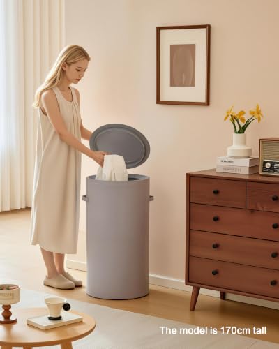 126L Laundry Basket with Lid, Laundry Hamper, Laundry Room, Gray - color: Gray