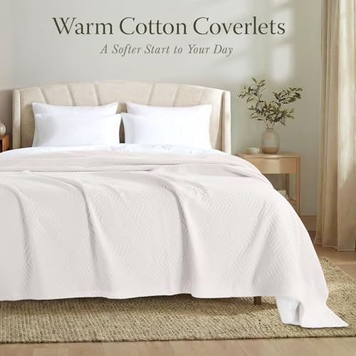 Threadmill Luxury Cotton Blankets for Queen Size Bed | All-Season 100% Cotton Queen Size Blanket | Aster Jacquard Cozy Lightweight, Soft Breathable Coverlet fits Full Size Bed, 90x92 | Vanilla Cream - color: Aster Natural, size: Queen / Full