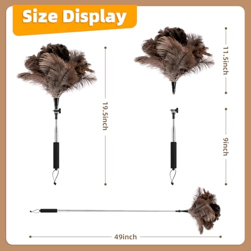 Extendable Ostrich Feather Duster for Cleaning with 49 inch Rotatable Pole - color: 49in-brown