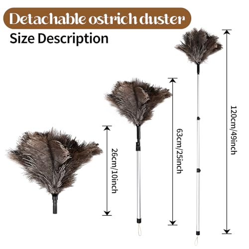 Extendable Ostrich Feather Duster up to 25-49 inches - color: Natural-b-1pcs