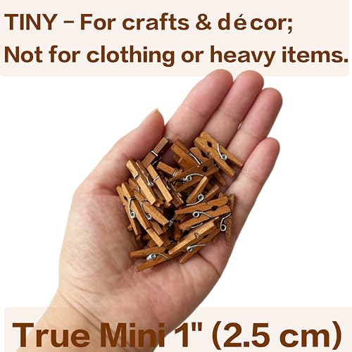 LWR CRAFTS Wooden Mini Clothespins 100 Per Pack 1" 2.5cm (Jacobean) - color: Jacobean