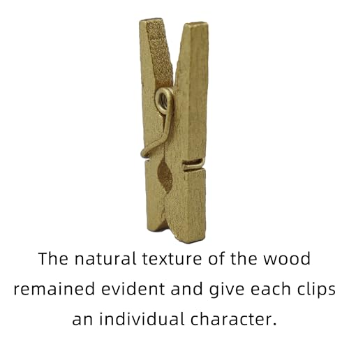 HEEHEE 100 PCS 1 Inch Gold Mini Clothespins Small Clothes Pin Natural Texture Wooden Clips for Food Package Clips Hanging Photo - size: Gold 1x0.12”-100 PCS