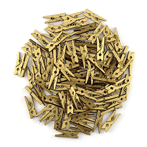 HEEHEE 100 PCS 1 Inch Gold Mini Clothespins Small Clothes Pin Natural Texture Wooden Clips for Food Package Clips Hanging Photo - size: Gold 1x0.12”-100 PCS