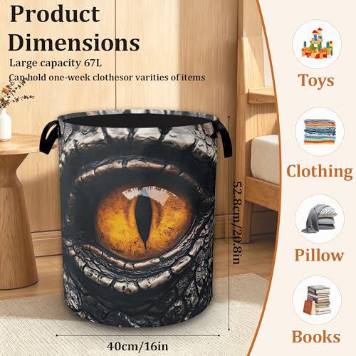 Dinosaur Large Laundry Basket, Foldable Laundry Hamper with Waterproof Coating and Reinforced Handles, Clothes Storage Bin for Dorm Bedroom - color: Cool Dinosaur Eyes