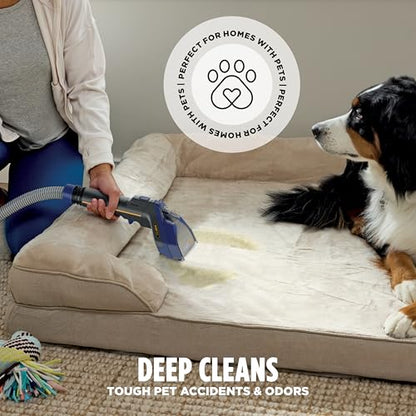 Shark CarpetXpert HairPro Carpet & Built-in Stain Cleaner, 2 Tools EX251BRN - style: CarpetXpert HairPro + Spot & Stain