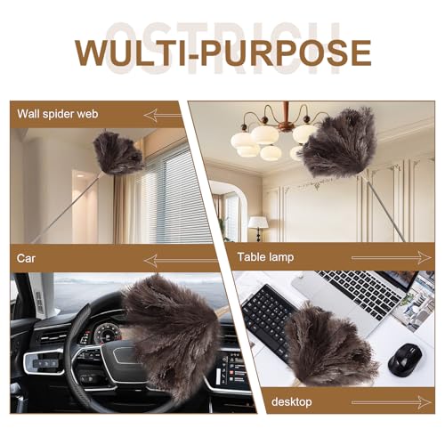 Extendable 94.5 Inch Ostrich Feather Duster with Extension Used for Home Cleaning Ceilings Furniture Fans Washable（210cm Telescopic Rod,Grey） - color: Gray, size: 94Inch