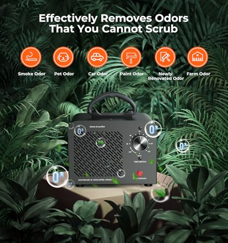 Hadlook Ozone Generator 48,000mg, Ozone Machine Odor Removal, O3 Ionizer - color: A-Black