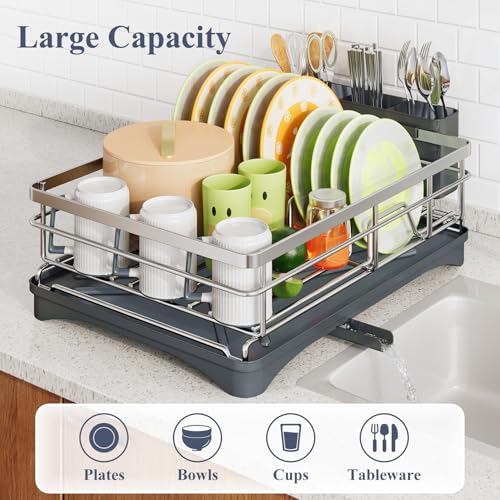 SAYZH Dish Drying Rack for Kitchen Counter with Utensil Holder, Silver - color: Silver