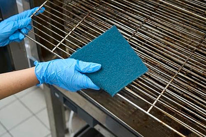 Spontex Specialist Heavy Duty Scourer Pads (Pack of 10) - style: Specialist Heavy Duty Scourer Pads (Pack of 10)