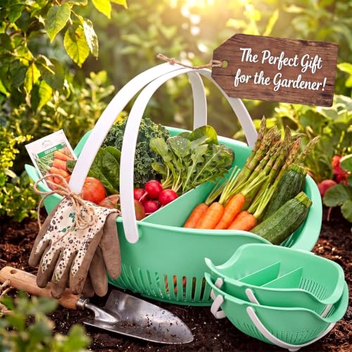 Nuogo 3 Pcs Garden Harvest Basket with Dividers Tool Caddy,Sage Green - color: Sage Green