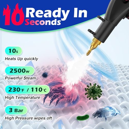 Flgocexs Steam Cleaner for Home,2500W Pressurized Steam Cleaner with 3 Brush Heads Portable Steamer for Cleaning Multi Surface Steam Cleaners with 2L Tank for Floor Car Carpet Upholstery - color: Tender Green