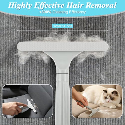 PHILORN Carpet Rake for Pet Hair Removal, 4 in 1 Pet Hair Remover Tool