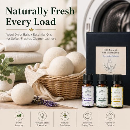Essential Oils for Laundry, Dryer Balls & Diffusers | 30ml | 3 Pack of the Most Sought-After Scents for Aromatherapy | Lavender, Eucalyptus, Lemon - color: Top 3 Essential Oil Set