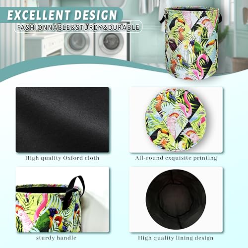 Tropical Birds Laundry Basket Foldable Oxford Cloth Hamper 18.9" x1 6.5" - color: Colorful Tropical Birds Palm Leaves