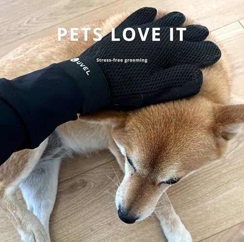 Pet Hair Removal Kit – Reusable Lint Roller & Grooming Gloves – Removes Dog & Cat Hair from Furniture, Clothes & Car – Easy to Clean