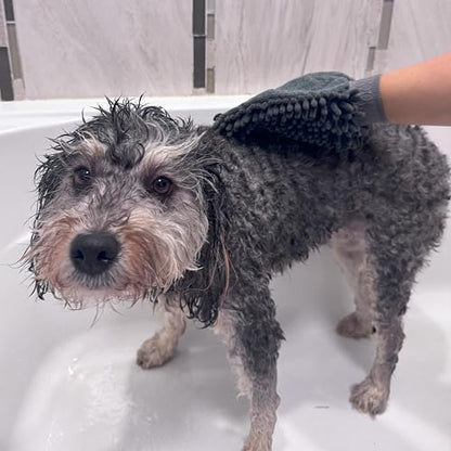 SPOT Clean Paws Chenille Microfiber Dog Towel Mitt - Super Absorbent, Quick-Drying, Washable, Double-Sided Glove for Wet Paws & Body, Durable, Odor-Free, Gently Massages & Dries, 9.5in x 7in