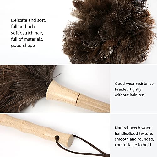 Ostrich Feather Duster 16 inch Feather Duster Fluffy Natural Genuine Ostrich Feathers with Wooden Handle and Eco-Friendly Reusable Handheld Ostrich Feather Duster for Cleaning Supplies - color: Model-a-brown-2 Pieces