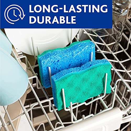 O-Cedar Scrunge Multi-Use Scrub Sponge (Pack of 6) Non-Scratch, Odor-Resistant, All-Purpose Scrubbing Sponge Safely Cleans All Hard Surfaces in Kitchen and Bathroom - size: 6 Count (Pack of 1)