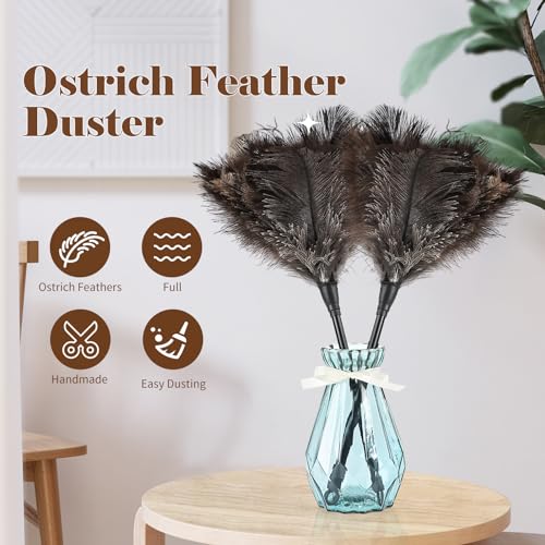 Natural Ostrich Feather Duster 14.9 inch Fluffy Mini Dusters - color: Natural-a-2pcs