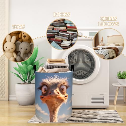 Funny Ostrich Laundry Basket, Dorm Nursery Foldable Laundry Hamper Organizer for Bathroom Decor, Toy Clothes Storage Box for Bedroom 19.7x15.7 Inch - style: Ostrich36