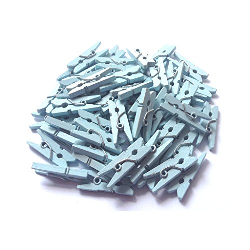 LWR CRAFTS Wooden Mini Clothespins 200 Per Pack 1" 2.5cm (Light Blue) - color: Light Blue