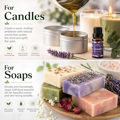 Essential Oils for Laundry, Dryer Balls & Diffusers | 30ml | 3 Pack of the Most Sought-After Scents for Aromatherapy | Lavender, Eucalyptus, Lemon - color: Top 3 Essential Oil Set