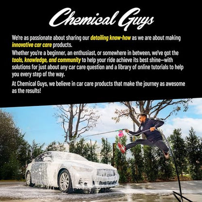 Chemical Guys, Boars Hair Detailing Brush for Wheels, Grilles & Interior - style: 1 Pack