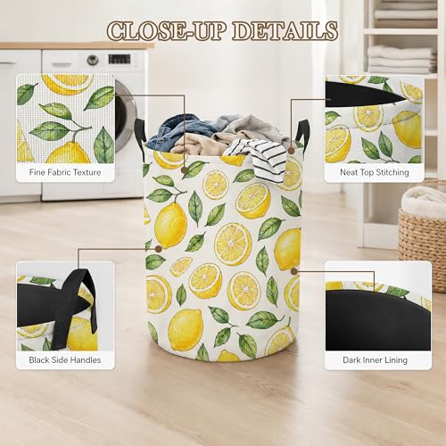 Lemon Slices Laundry Basket, Green Leaves Collapsible Laundry Hamper Waterproof Oxford Cloth With Handles, Clothes Storage Bucket For Bathroom/Bedroom 16" x 20.8" - color: Lemon Slices