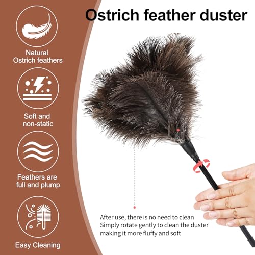 Ostrich Feather Duster-14.9 Inch Mini Natural Feathers Dusters with Plastic Handle Reusable Handheld for Cleaning Supplies Home Car Office(6pcs) - color: Natural-14.9in-styleb-6pcs