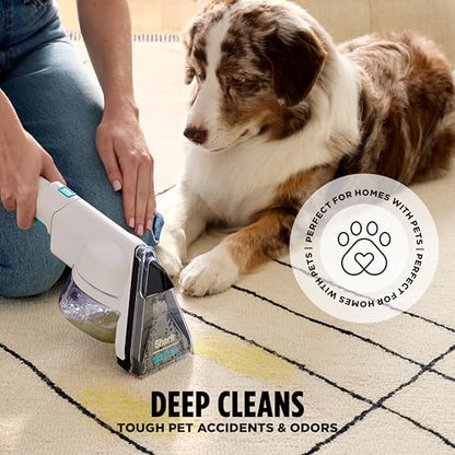Shark CarpetXpert StainStriker Carpet & Upholstery Cleaner, 3 Tools, EX201 - style: CarpetXpert + StainStriker