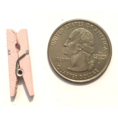 LWR CRAFTS Wooden Mini Clothespins 200 Per Pack 1" 2.5cm (Light Pink) - color: Light Pink