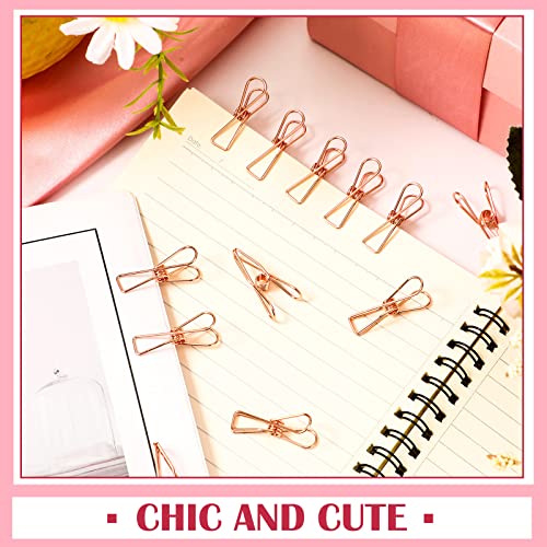Sabary 100 Pcs Paper Clip Metal Wire Clothespin,Small,Rose Gold - color: Rose Gold, size: Single Size (Small)