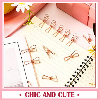 Sabary 100 Pcs Paper Clip Metal Wire Clothespin,Small,Rose Gold - color: Rose Gold, size: Single Size (Small)