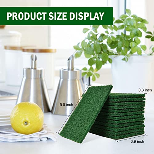 YoleShy 80 Pack Heavy Duty Scouring Pads Green Scrubbing Pads Scrub Pads - color: 80 Pcs