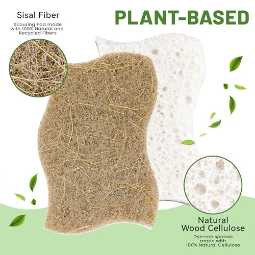 12 Pack Natural Cellulose Non-Scratch Kitchen Scrub Sponges for Dish - color: Coconut Fiber, White
