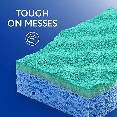 O-Cedar Scrunge Multi-Use Scrub Sponge (Pack of 6) Non-Scratch, Odor-Resistant, All-Purpose Scrubbing Sponge Safely Cleans All Hard Surfaces in Kitchen and Bathroom - size: 6 Count (Pack of 1)