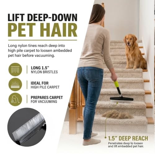 Small Room Groom Carpet Rake, 11" Handle, Portable Carpet Brush for Pet Hair, High Pile Rugs, Stairs, Furniture & Artificial Turf, Compact Groomer Tool - style: Modern