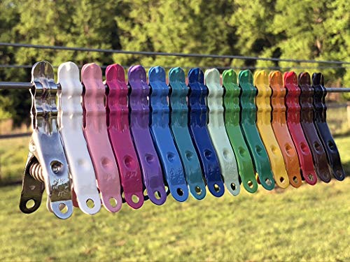 Extreme Clothespins | Mediterranean Blue Color | Solid 304 Stainless Steel -20 Pack | Heavy Duty | Anti-Rust | Clothes Pin | Chip Clips | Lifetime Product | No Plastic Pieces | Made in Italy - color: Mediterranean Blue