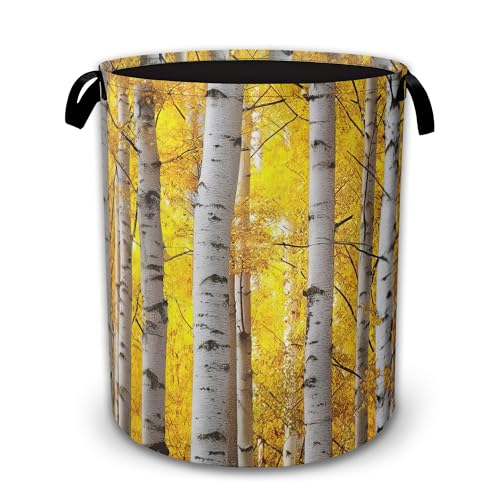 Laundry Hamper Foldable with Handles,Aspen Tree Leaves Oxford Cloth Basket,Large Capacity Storage Organizer for Bedroom Bathroom Dorm Room - color: Aspen Tree Leaves