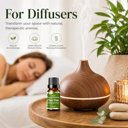 Essential Oils for Laundry, Dryer Balls & Diffusers | 60ml | 6 Pack of the Most Sought-After Scents for Aromatherapy | Lavender, Tea Tree, Eucalyptus, Bergamot, Lemon & Chamomile - color: Top 6 Essential Oil Set