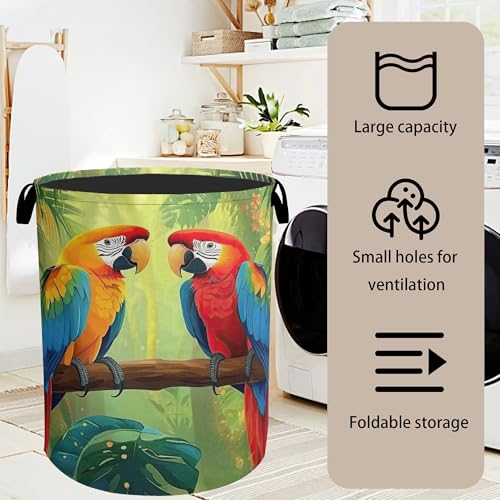 Tropical Parrot Foldable Laundry Hamper - Waterproof Fabric Storage Basket with Handles, Clothes Hampers for Laundry,Bedroom,Dorm - color: Tropical Parrot